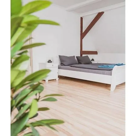 G With Pool In Luebbenau Apartment Stennewitz